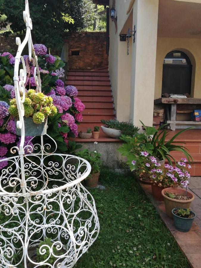B&B Dal Brillante Seravezza Exterior photo